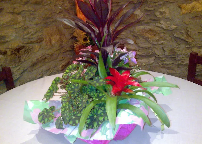 Ca De Graus Hotel 2*